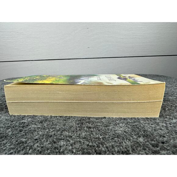 Heaven Sent / His Hometown Girl by Jillian Hart (Paperback) - Picture 5 of 6